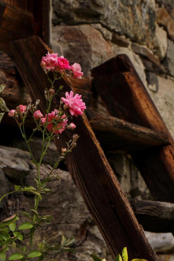 La Mura' - Il Vostro Posto Nel Gran Paradiso Ronco Canavese Exterior foto